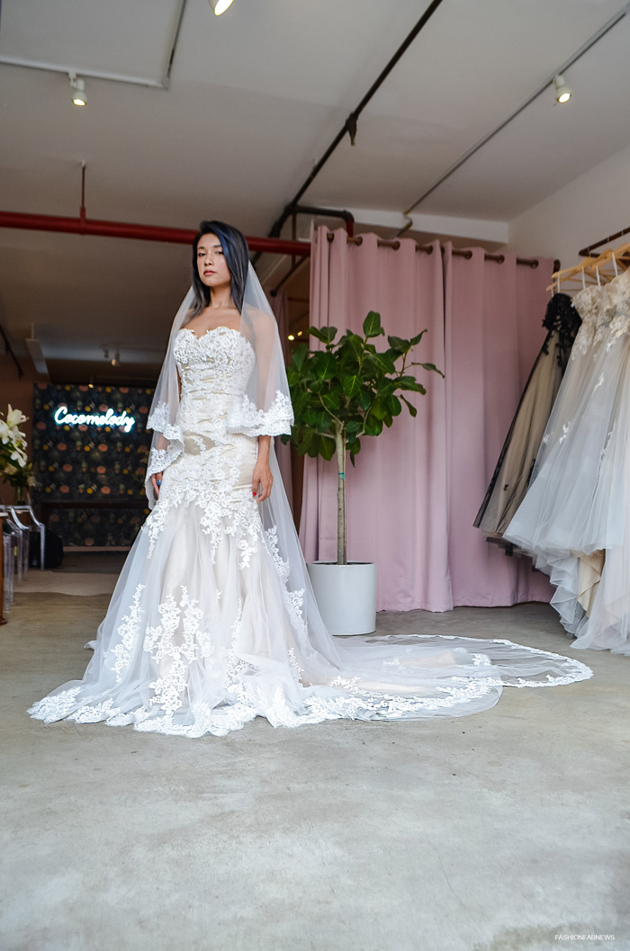 Mermaid Court Train Tulle Lace Wedding Dress