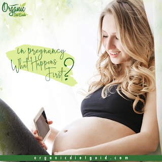 Having a Baby | What Happens During the Trimesters of Pregnancy?!