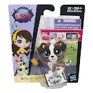 Littlest Pet Shop Singles Bernie St. Croix (#3950) Pet