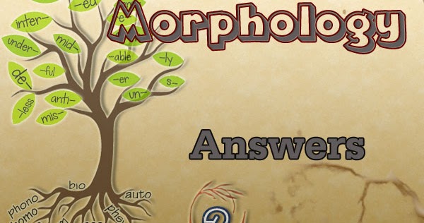 English Morphology Answers - Part 2 | NitoAnswers