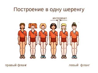 Что такое сомкнутый строй в физкультуре. Смотреть фото Что такое сомкнутый строй в физкультуре. Смотреть картинку Что такое сомкнутый строй в физкультуре. Картинка про Что такое сомкнутый строй в физкультуре. Фото Что такое сомкнутый строй в физкультуре Что такое сомкнутый строй в физкультуре. Смотреть фото Что такое сомкнутый строй в физкультуре. Смотреть картинку Что такое сомкнутый строй в физкультуре. Картинка про Что такое сомкнутый строй в физкультуре. Фото Что такое сомкнутый строй в физкультуре