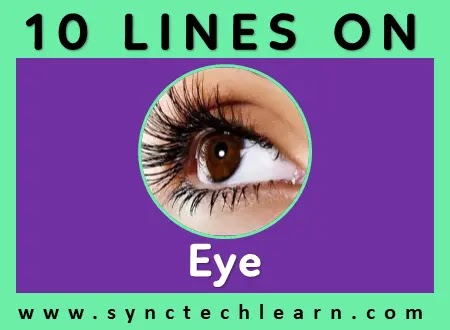 10 sentences about eyes