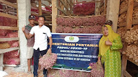Bupati Bima Berikan Apresiasi Harga Bawang Merah Petani Melonjak