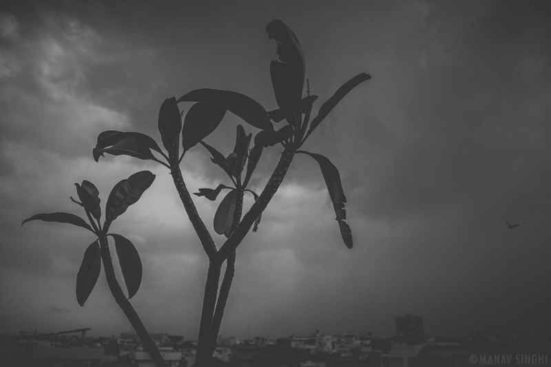 Light Rain - Strong Winds, Jaipur.