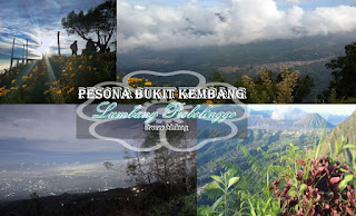 http://www.bromomalang.com/2018/08/bukit-kembang-lumbang-probolinggo.html