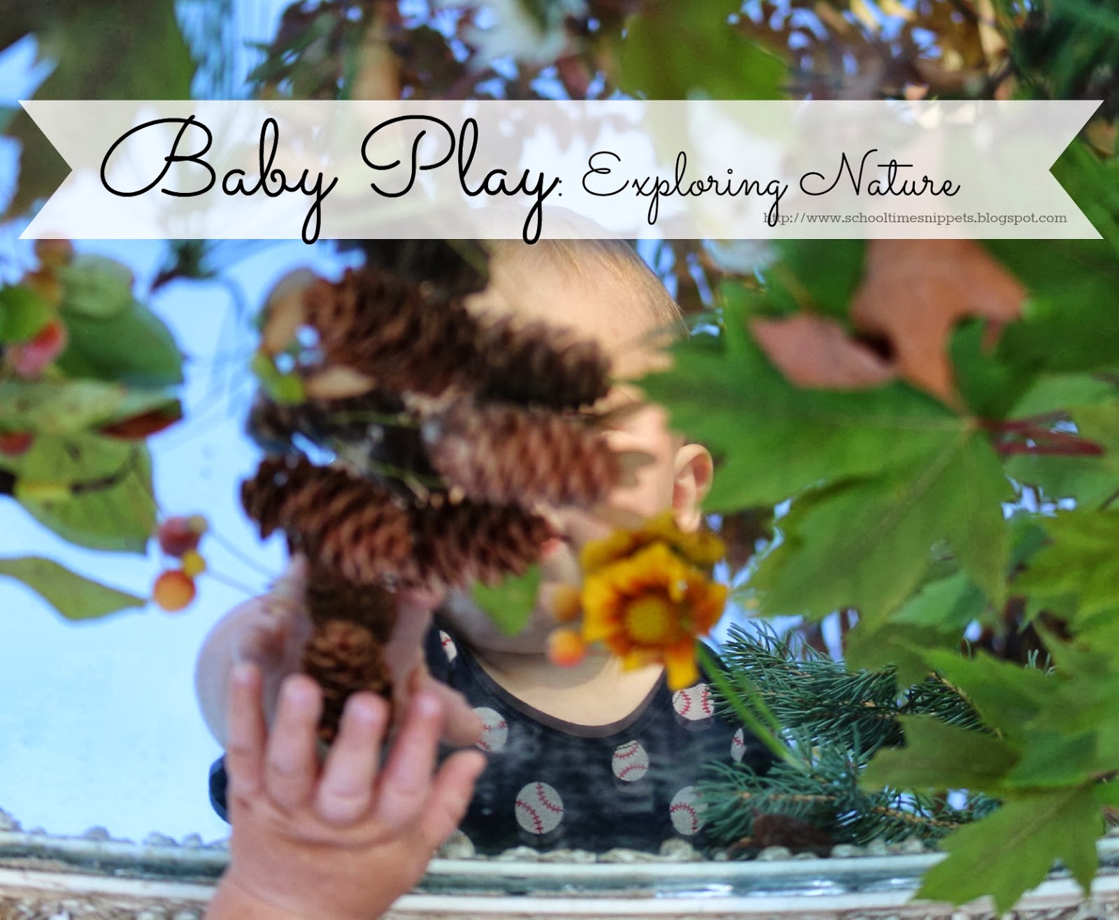 Nature Exploration for Babies and Toddlers School Time Snippets