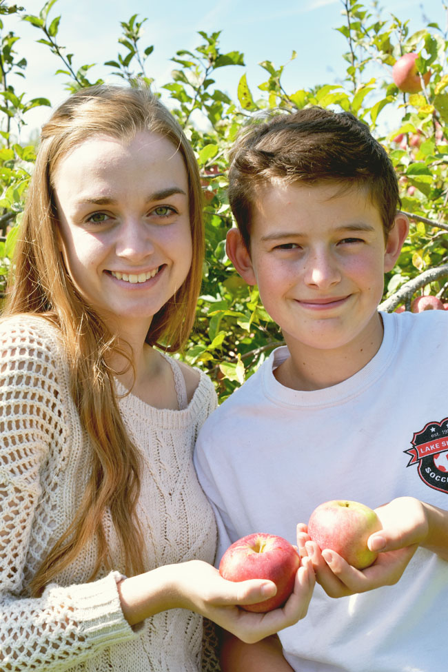 apple picking at Avalon Orchards (organic) in Innisfil, Ontario