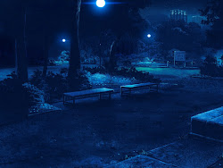 anime night park landscape