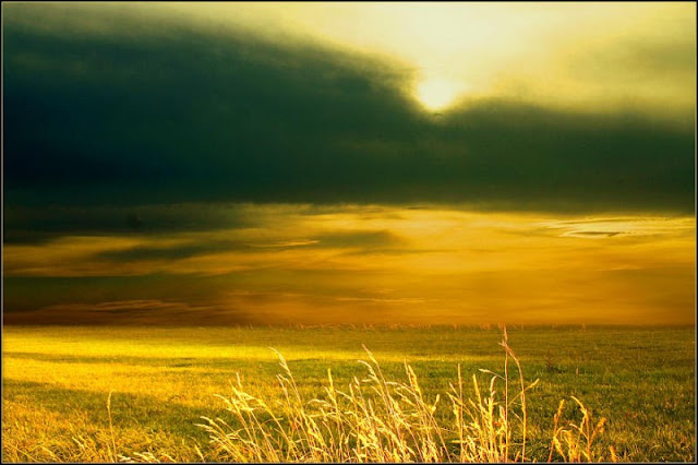 Belas imagens que a natureza nos oferece! | Natureza Bela