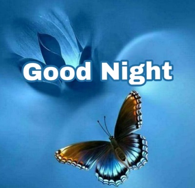 Download 25+ Cute Good night Images Download 25+ Cute Good night Images