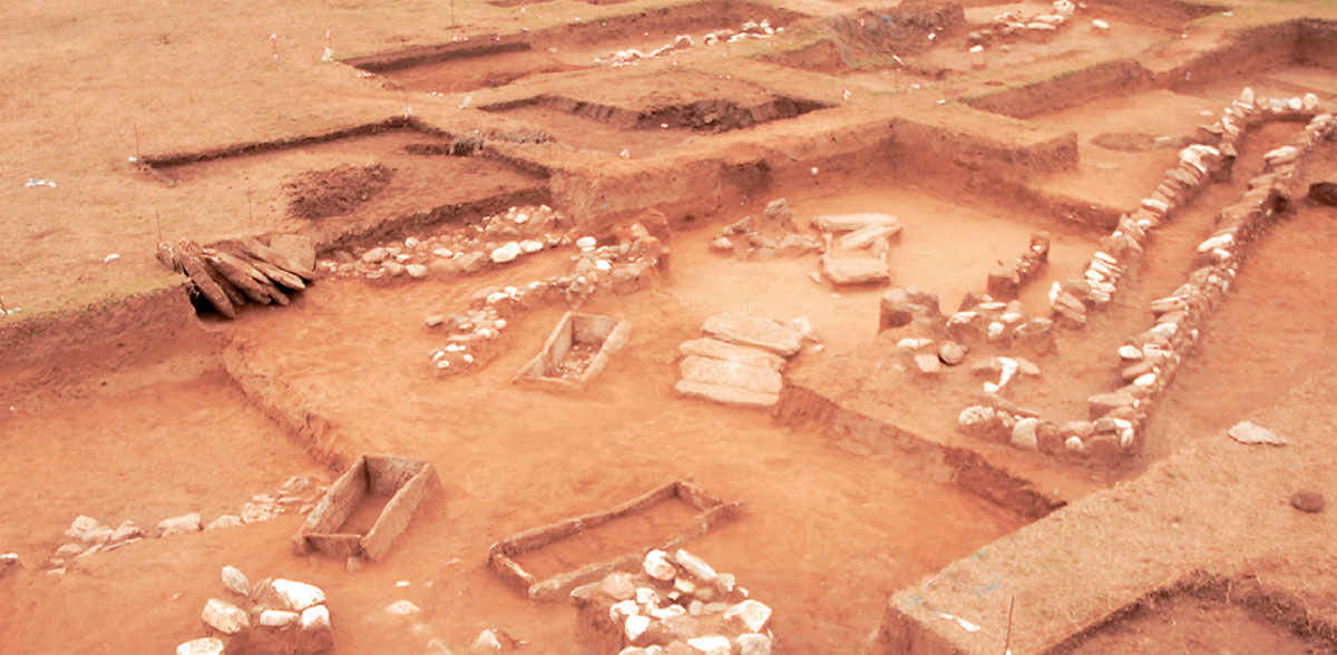 31 intact burials unearthed at large Mycenaean cemetery The