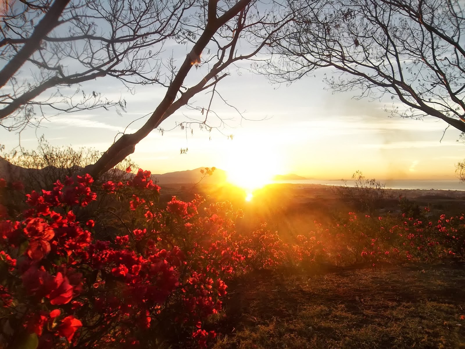 HOW SAFE IS MEXICO MY NEW JOURNEY IN LIFE Ajijic Makes The Grade For