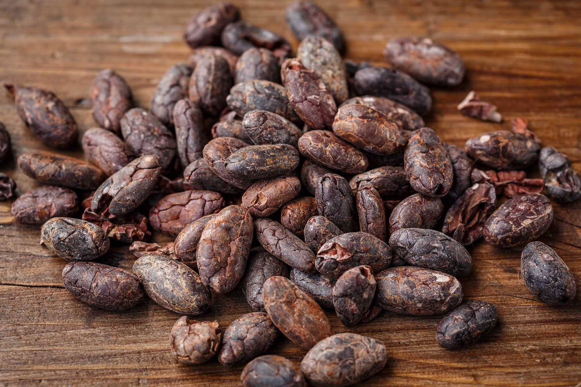 Cacao vs Cocoa Powder What's the difference? Laura Sosa