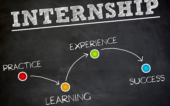 Six Month Internship for College Students 