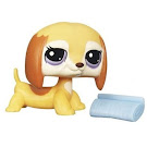 Littlest Pet Shop Singles Dachshund (#2529) Pet