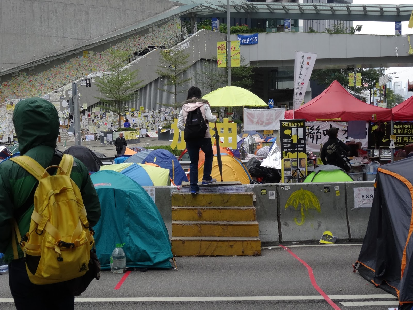 WEBS OF SIGNIFICANCE Yellowing is a "fly on the wall"style Umbrella