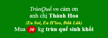 Trùn quế về xã Ea Sol