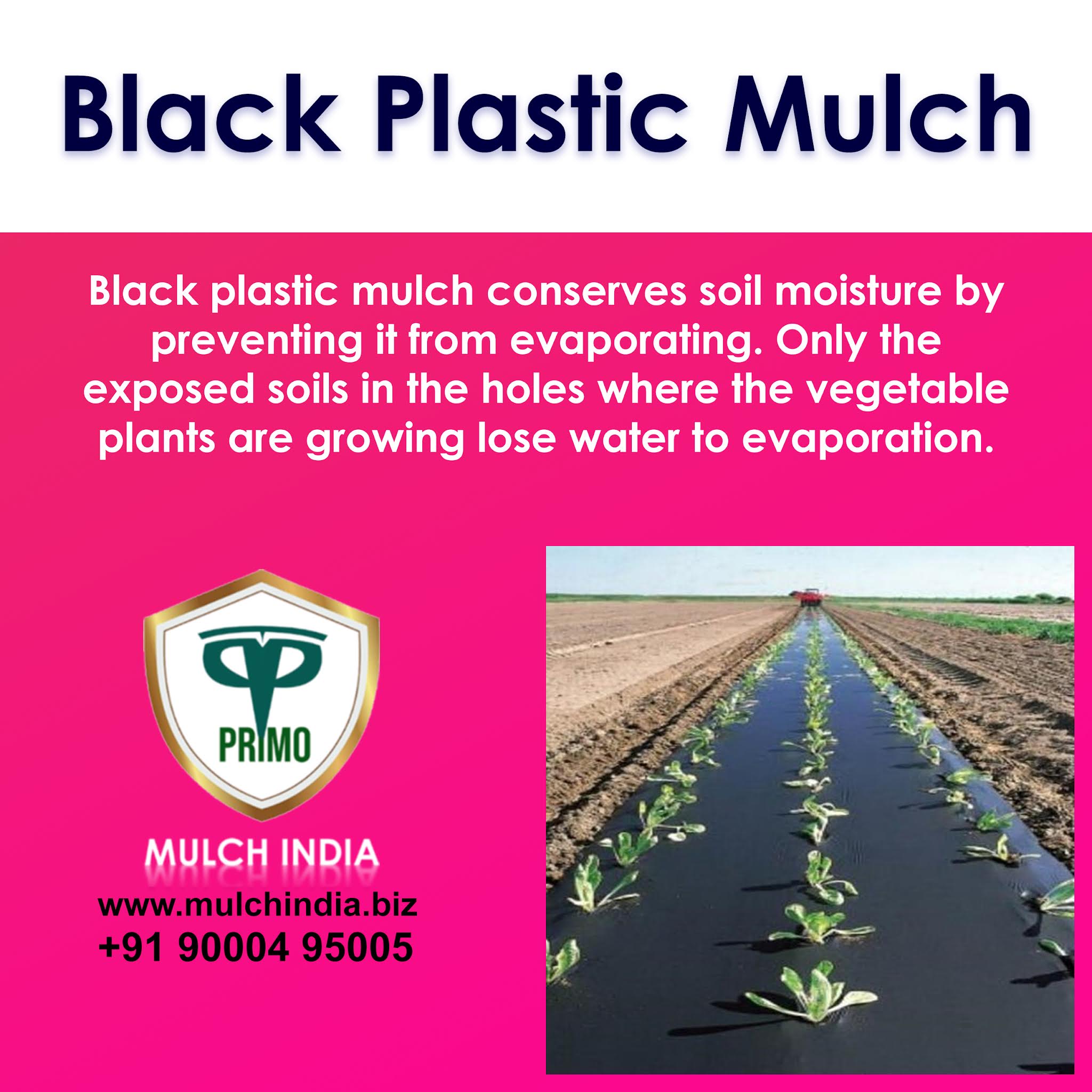 MulchIndia Black Plastic Mulch Mulch India Call+𝟵𝟭 𝟵𝟬𝟬𝟬𝟰𝟵𝟱𝟬𝟬𝟱 www