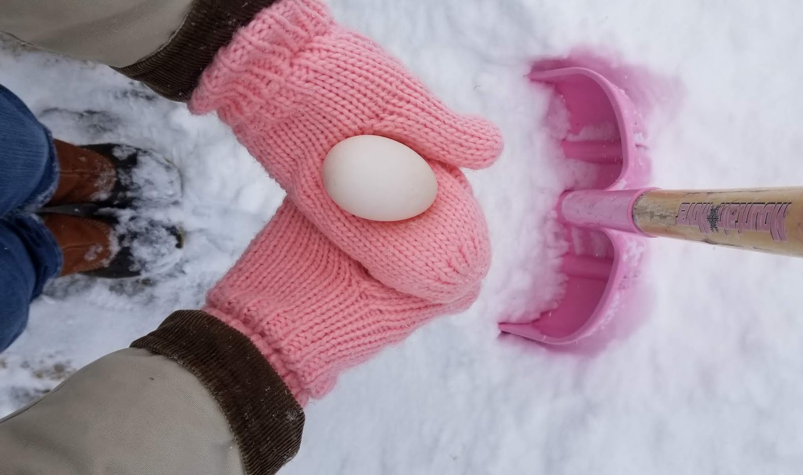 How Do I Keep my Chicken Eggs from Freezing? Fresh Eggs Daily® with
