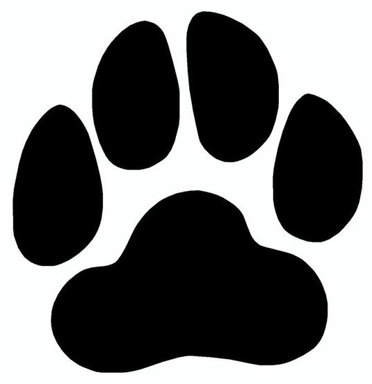 KXMX - Local News: PAWS Sets Parent Meetings at Muldrow Schools