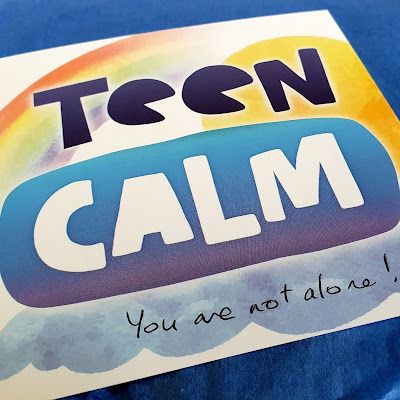 Teen Calm Box Review (sent for review)