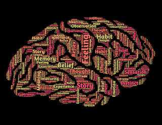 Cómo se conectan metacognición, cognición y motivación