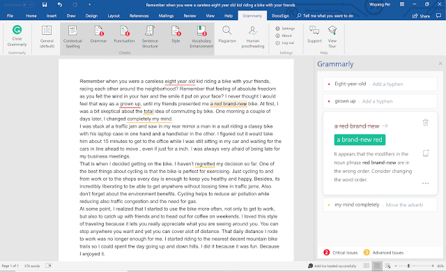 Screenshot of Grammarly on MS Office.