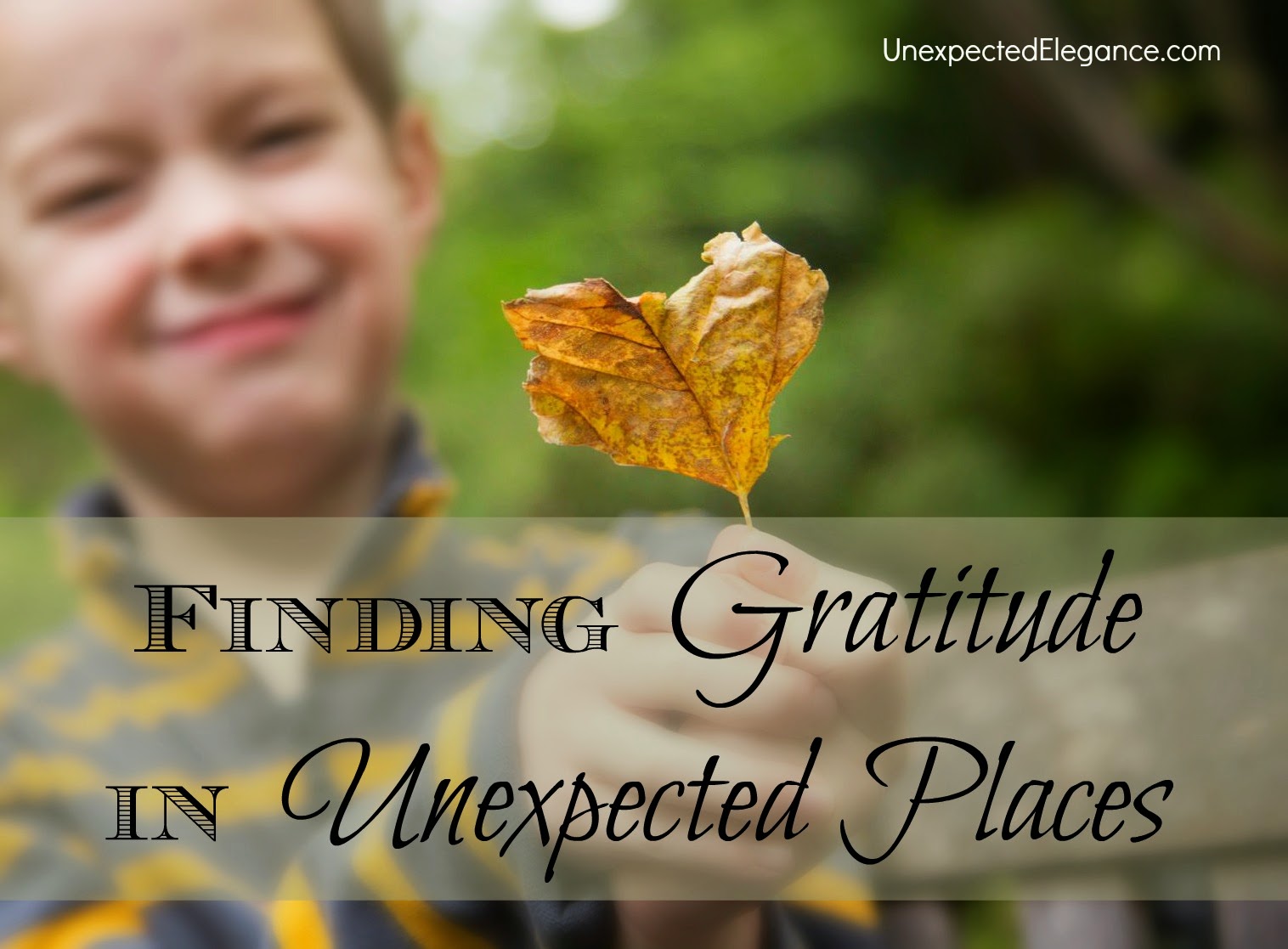 Take a look into scripture on finding gratitude in unexpected places.