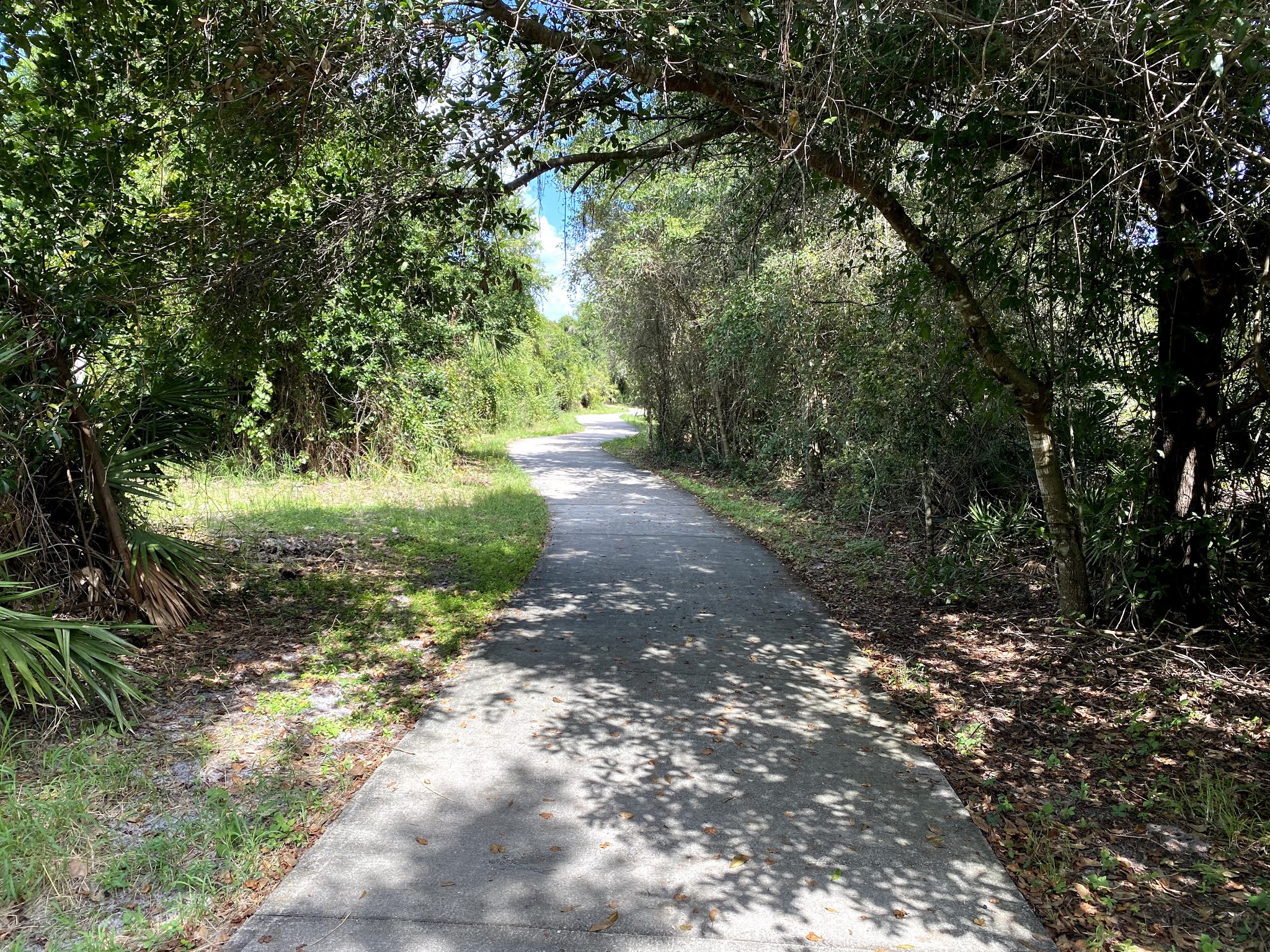 Shadow Bay Park Orlando Florida Travel Ideas
