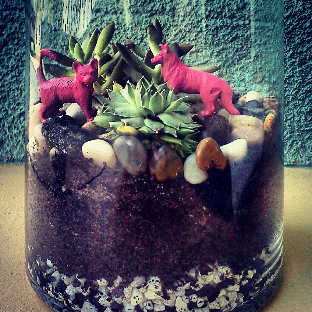Confetti Monster Schemes Terrarium DIY and Variations