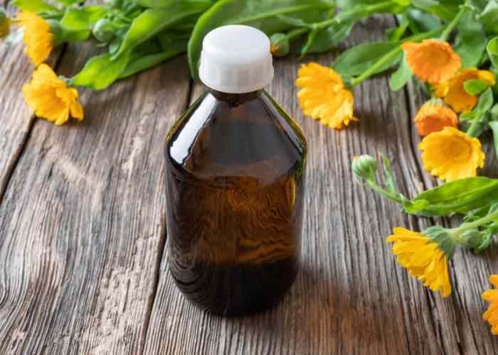 How to Make Calendula Infused Oil, Its Benefits, and How to Use It