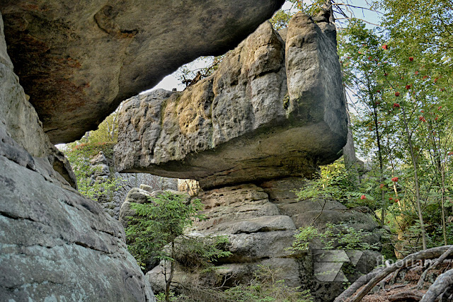 Formy skalne w Błędnych Skałach - 