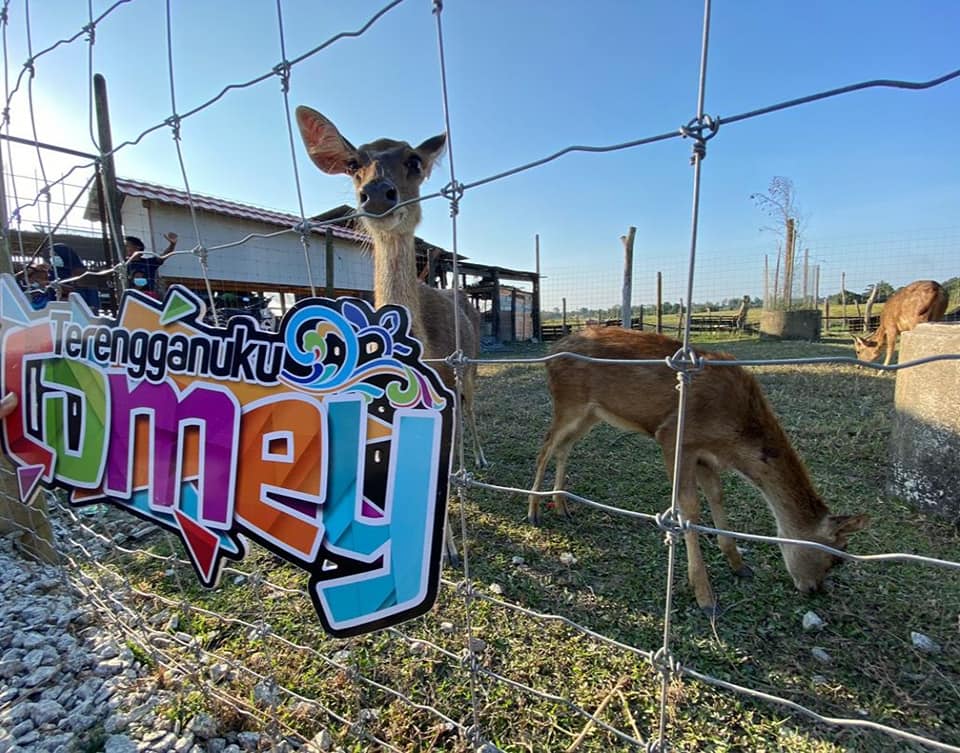 1Media.My Terengganu Uniknya ‘zoo mini’ di sawah Kampung Tok Dir