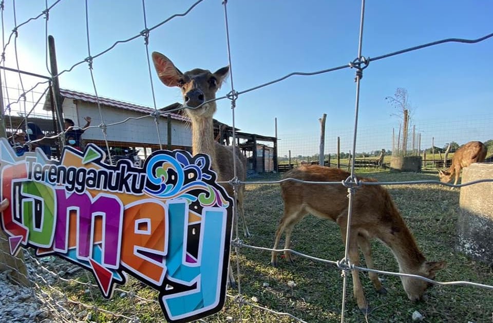 1Media.My Terengganu Uniknya ‘zoo mini’ di sawah Kampung Tok Dir