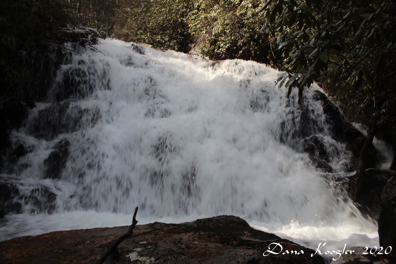 Cumberland Gal Yellow Creek Falls and Bullett Creek Falls in the