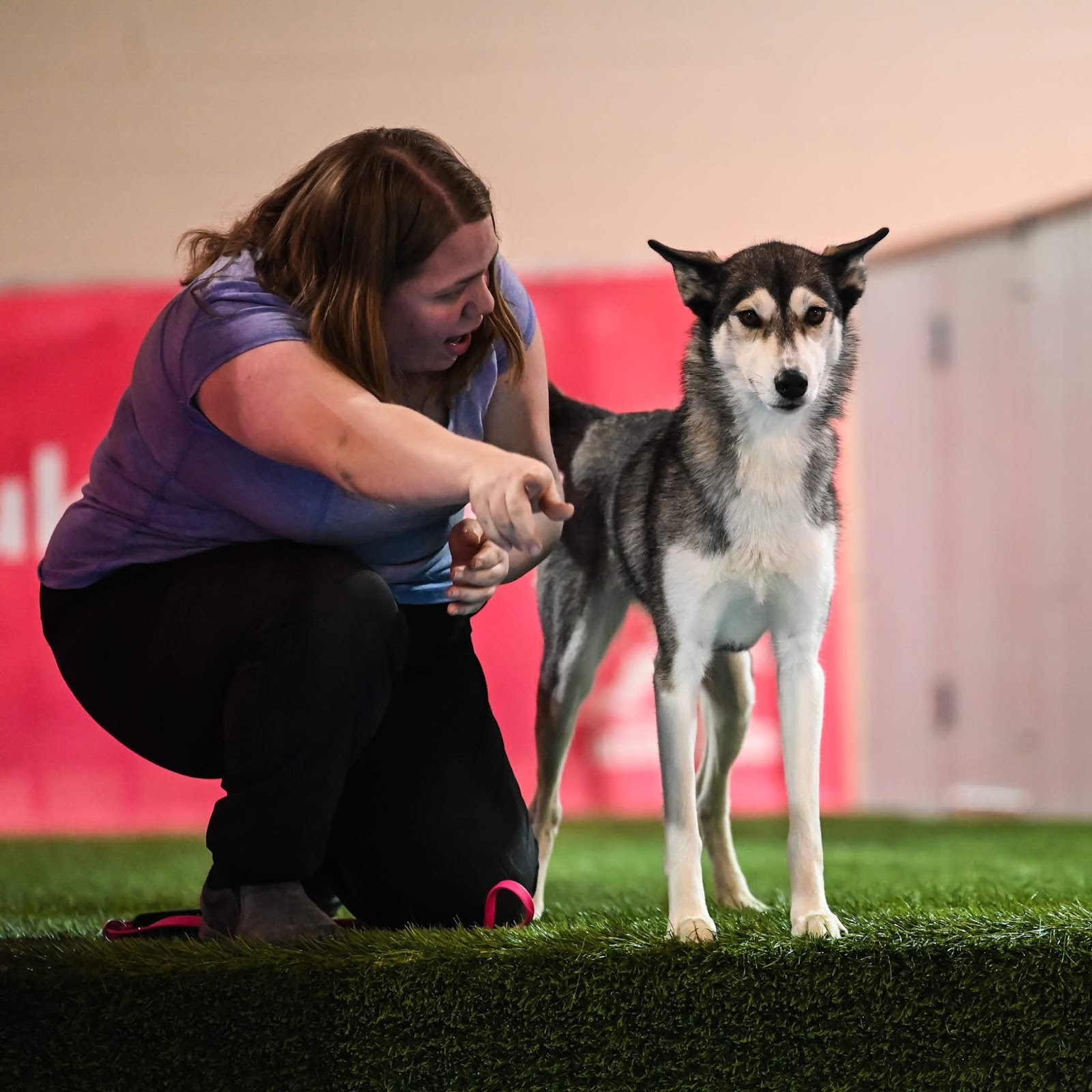 Visual Ohio Columbus Pet Expo
