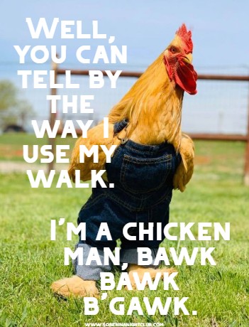 bawk.jpg