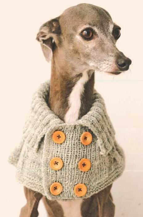 手編み犬服 - ペット用品