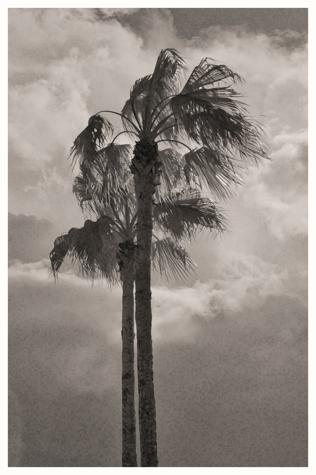 PhotoperDiemA Photography Blog December 2012