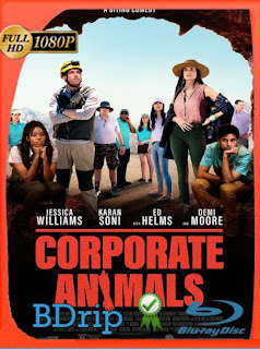 Ejecutivos Agresivos (2019) BDRip [1080p] Latino [GoogleDrive] SXGO