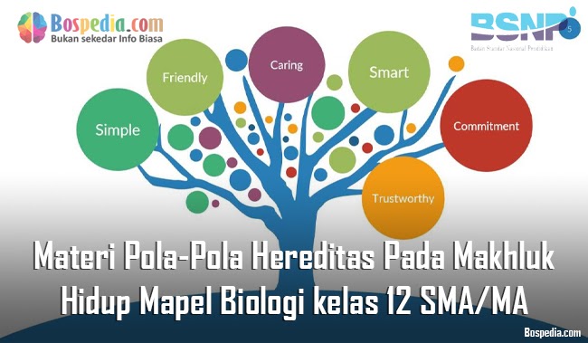 Materi PolaPola Hereditas Pada Makhluk Hidup Mapel