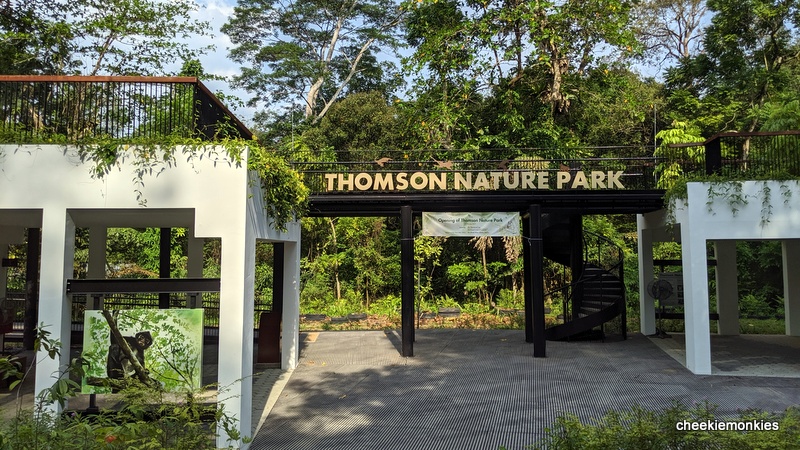PURA D'OR Singapore  Thomson Park Singapore