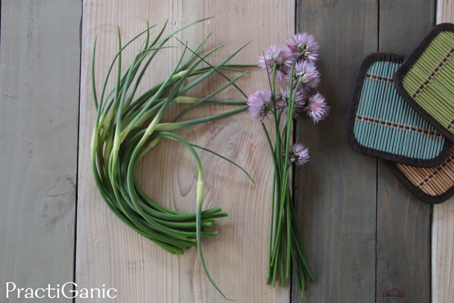 Garlic Scapes and Chive Flower PullApart Bread PractiGanic