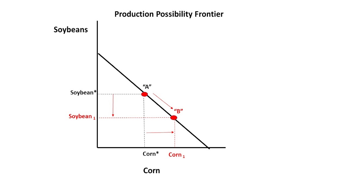 why is the ppf curved and not straight