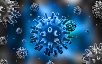 Sejarah Penemuan Virus Beserta Ciri - Cirinya