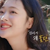 MBC documentary into Sulli's life to reveal what made her so uncomfortable