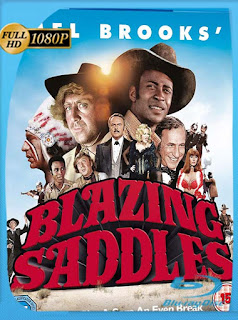 Locura en el oeste (1974) [1080p] Latino [GoogleDrive] SXGO