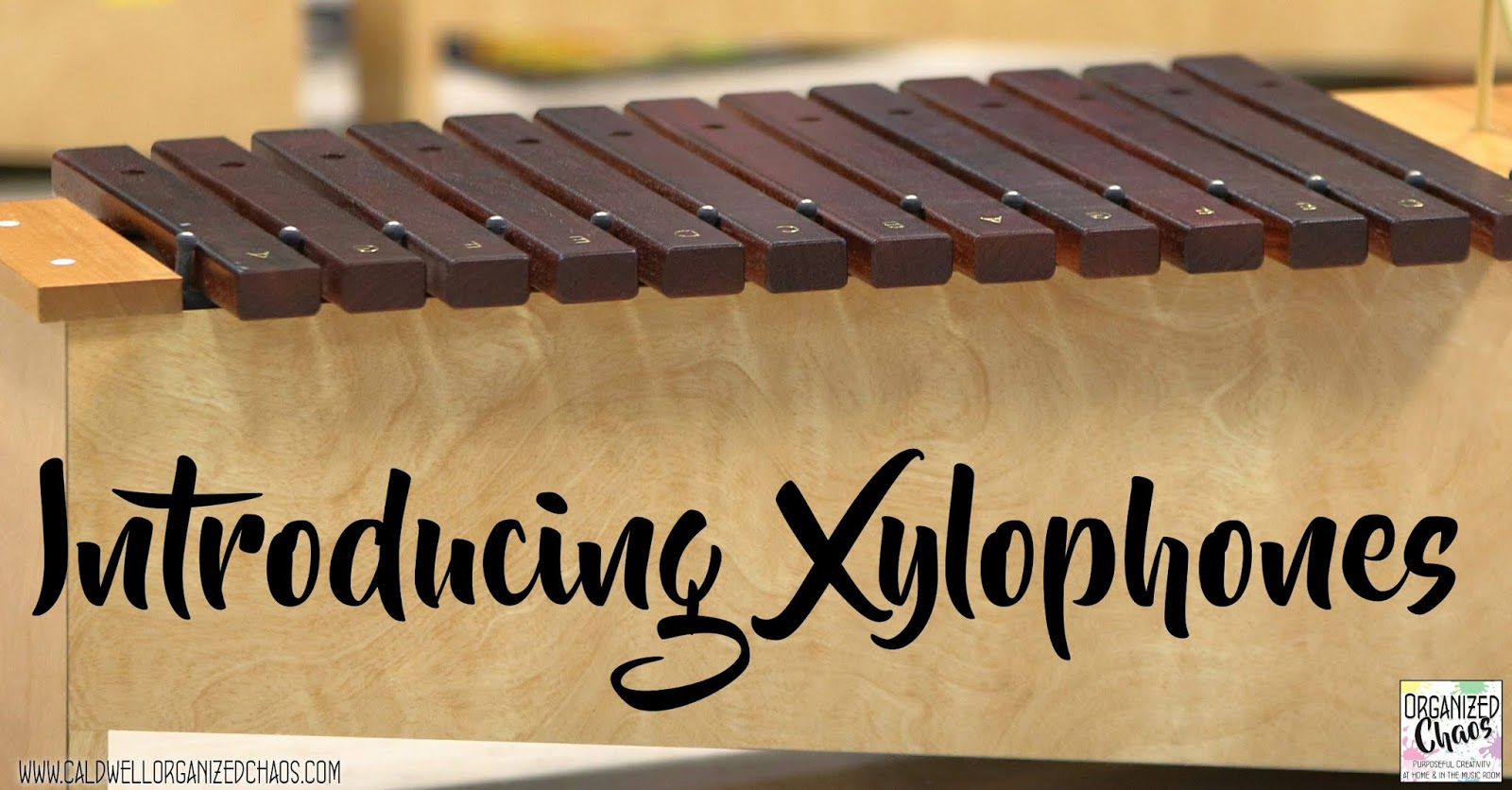 Introducing Xylophones Organized Chaos