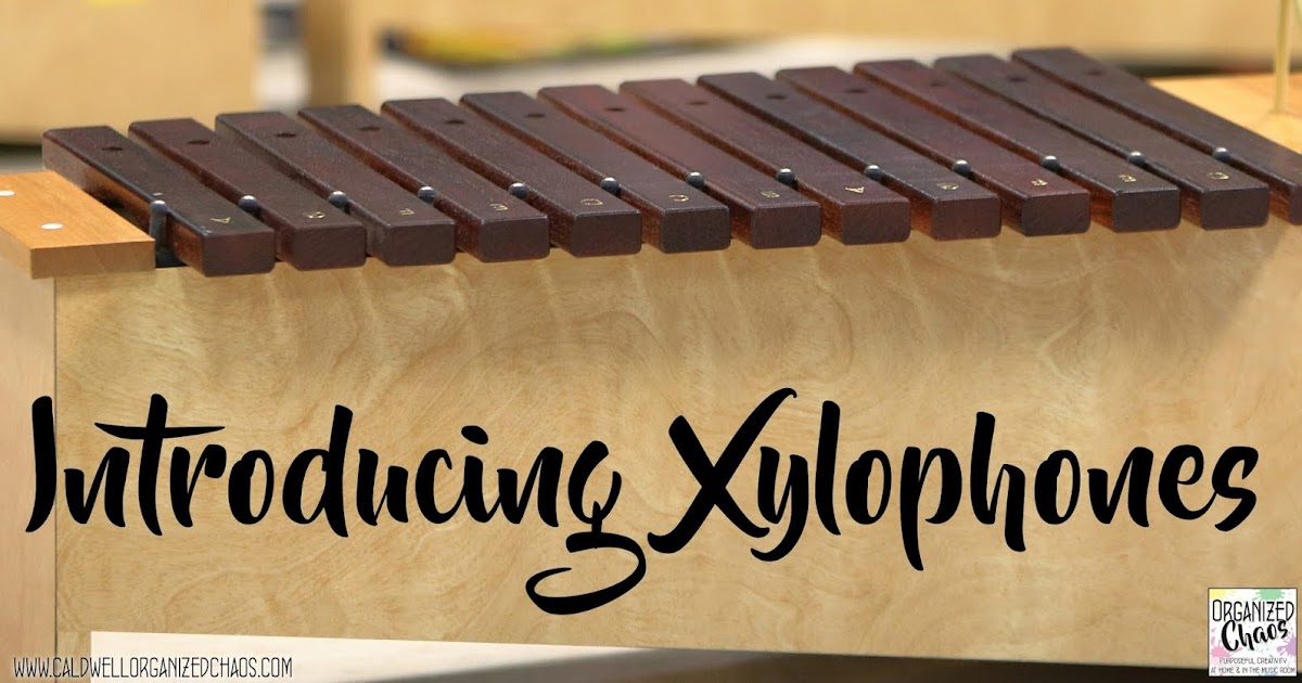 Introducing Xylophones Organized Chaos