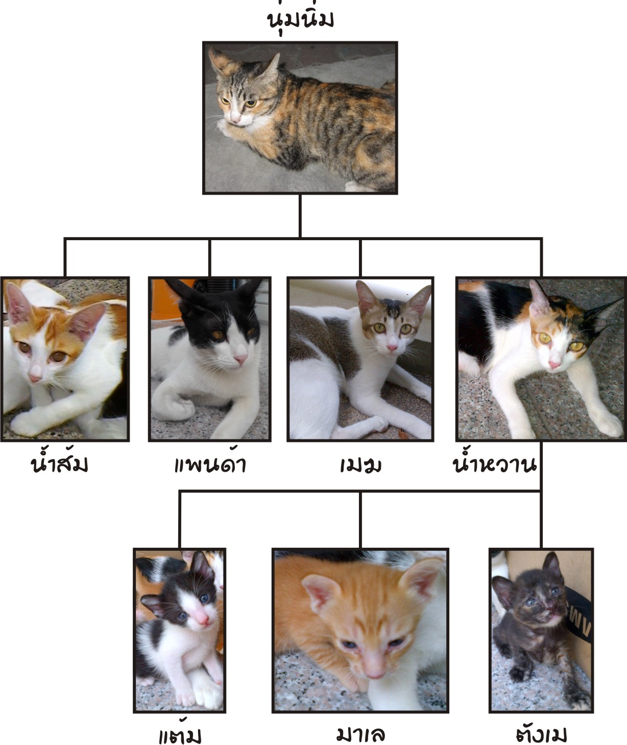 My Image 13